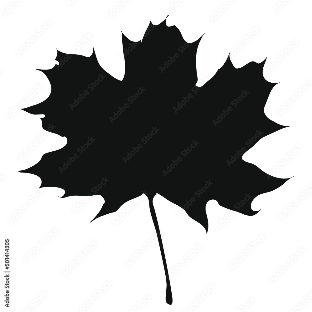 Black maple leaf, natural outline contour. Botany. Symbol of Canada. Vector