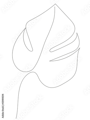 Monstera leaf vector in one line, continuous outline drawing in minimalistic style. Botany, tropical leaf