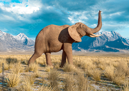 african elephant is walking around in plains and mountains