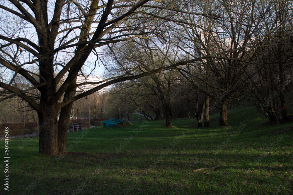 park.spring. Creek. spring forest. thawed patch. first sprout. rebirth. holiday of life. prosperity. branch . stem. first flower.озеро. пруд. утро.
lake. pond. morning.park.spring. Creek. spring fores park.spring. Creek. spring forest. thawed patch. first sprout. rebirth. holiday of life. prosperity. branch . stem. first flower.озеро. пруд. утро.
lake. pond. morning.park.spring. Creek. spring fores