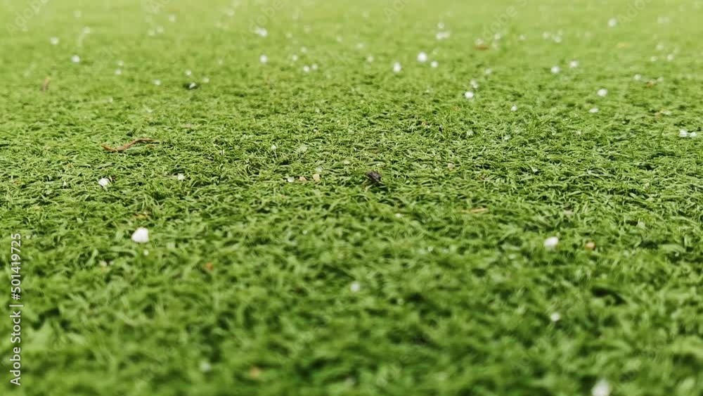 Dry snow falls on the surface of the playground made of artificial grass. Close-up crystals of snow or fine hail. Dry snow falls on the surface of the playground made of artificial grass. Close-up crystals of snow or fine hail.