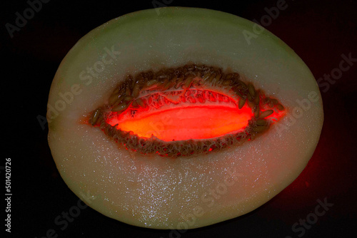 Melão (Cucumis melo L.) é uma fruta provavelmente nativa do Oriente Médio. photo