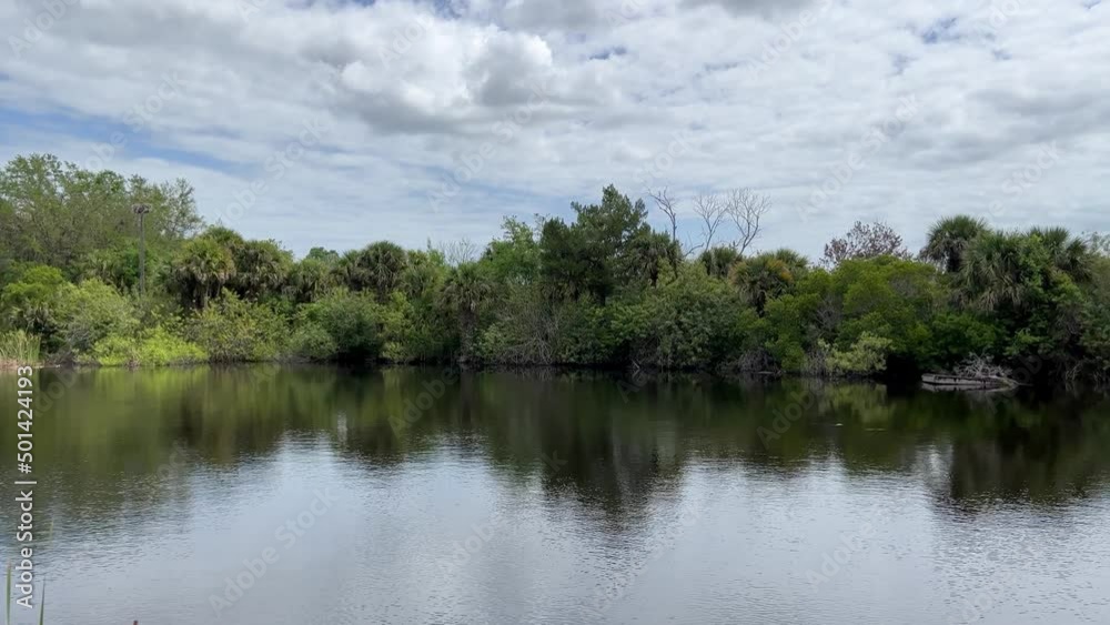 A pond with flowing water with blue skies and green trees. A pond with flowing water with blue skies and green trees.