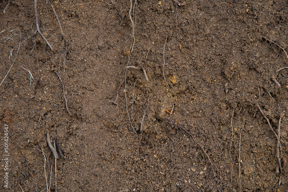 Soil in the ground. Brown ground texture. Soil in the ground. Brown ground texture.