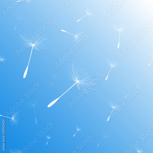 Vector illustration of dandelion time. White Beautiful Dandelion seeds blowing in the wind. The wind inflates a dandelion isolated in editable blue sky background.