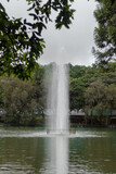 Fountain in the middle of a lake surrounded by vegetation