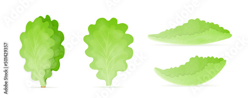 Set of realistic lettuce icons. 3D stickers with green vegetables for making salads. Delicious and healthy food. Designs for cafe menus. Cartoon flat vector collection isolated on white background
