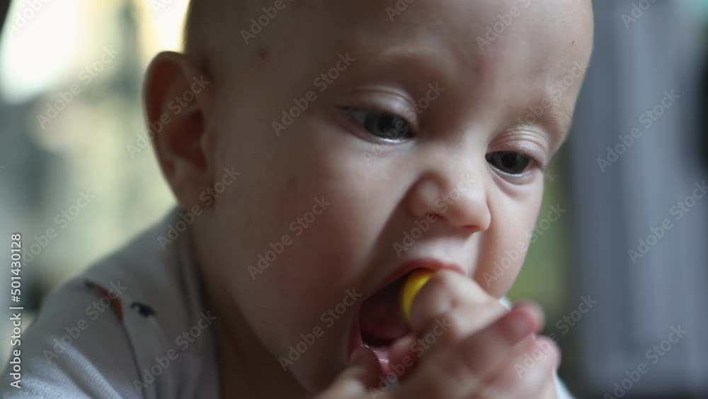 close-up portrait funny caucasian baby sucking yellow toy looking to camera with big blue eyes, infant child chewing and teething things, exploring discovering world, education toddlers close-up portrait funny caucasian baby sucking yellow toy looking to camera with big blue eyes, infant child chewing and teething things, exploring discovering world, education toddlers