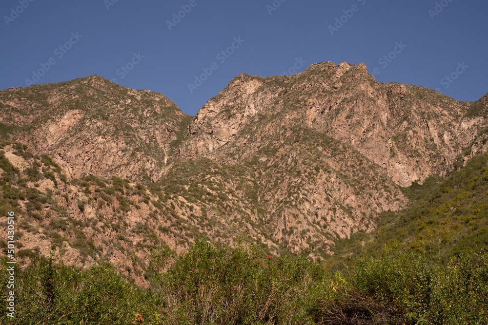 View of the arid hills and forest in a sunny day.	