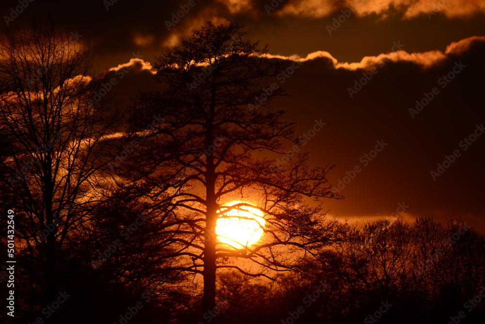 Beautyful dramatic sunset with trees in the foreground Beautyful dramatic sunset with trees in the foreground