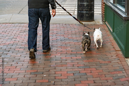 Man walking two Dogs on lead on the sidewalk © Enrico Della Pietra