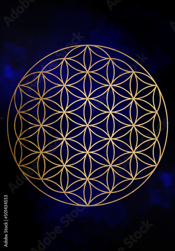 Seed Flower of life lotus icon, yantra mandala sacred geometry, golden symbol of harmony and balance. Blue color Mystical talisman, gold lines isolated on black background