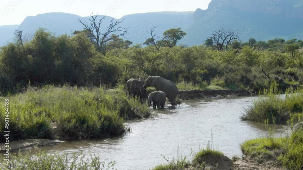 landscape with river