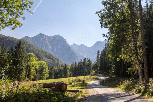 Tableau sur toile Hiking trail going through a pin and fir wood forest in the middle of an alpine mountain background in the julian alps in slovenia, during as sunny summer afternoon, with a glade in background