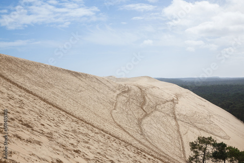 Panorama of the sandy Pila dune  Dune du Pyla  with the pine forest of Landes de Gascogne in Background. Pilat  or Pyla Dune is the biggest sand dune in Europe  in Arcachon Bay  in Aquitaine......