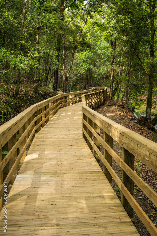 Wooden footbridge in Stanislaus fountain park