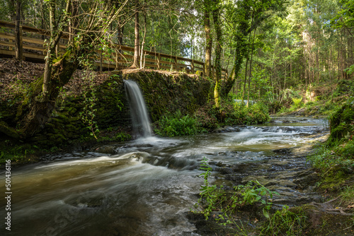 Bank of the river Lourido in the park of the fountain of Stanislaus photo