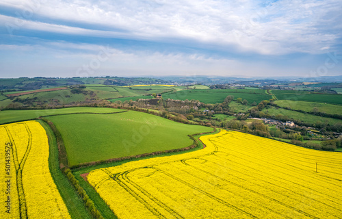 Panorama over Farmlands and Rapeseed fields from a drone  Devon  England