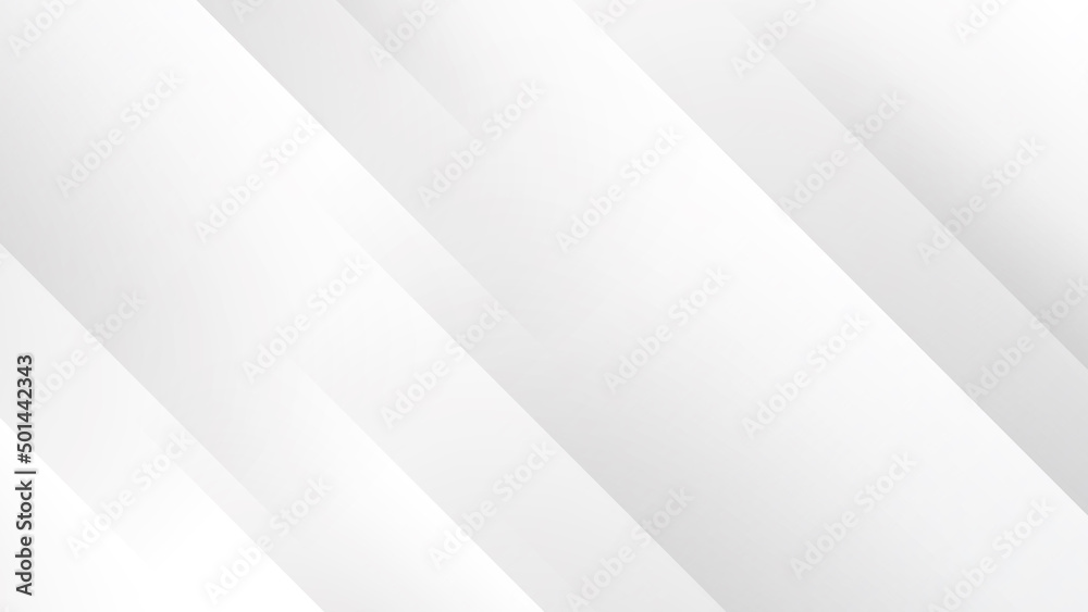 Modern white grey corporate abstract background. Vector abstract graphic design banner pattern presentation background web template.