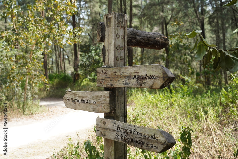 old wooden sign in the forest
