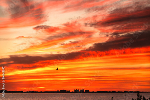 Sunset sky at sea and a bird red skies seascape