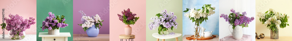 Fototapeta premium Collage with bouquets of beautiful lilac flowers on colorful background