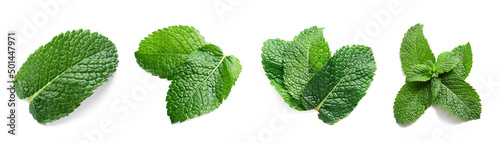 Fresh green mint leaves on white background, top view photo