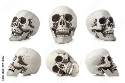 Set of human skulls isolated on white