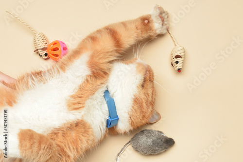 Cute cat with toys on beige background photo