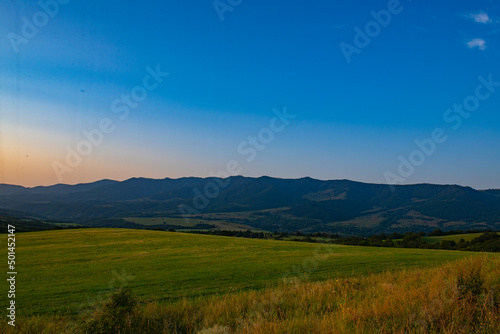 spacious green fields and mountains in georgia in summer © Vyacheslav