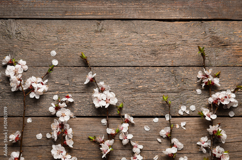 Beautiful blooming spring branches on wooden background, top view
