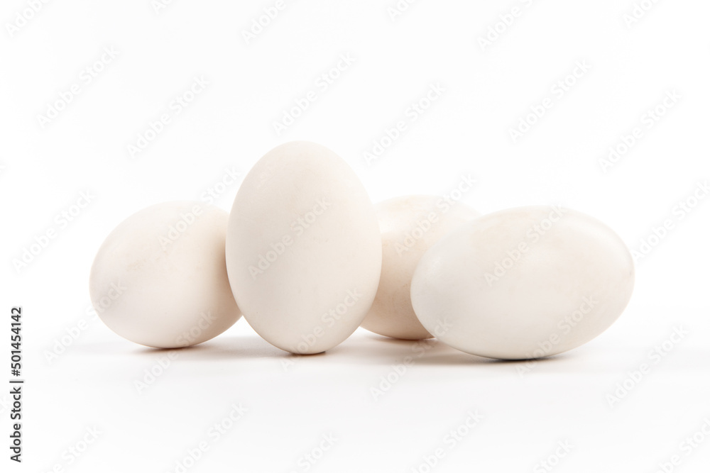 Fresh goose eggs isolated on white background Fresh goose eggs isolated on white background