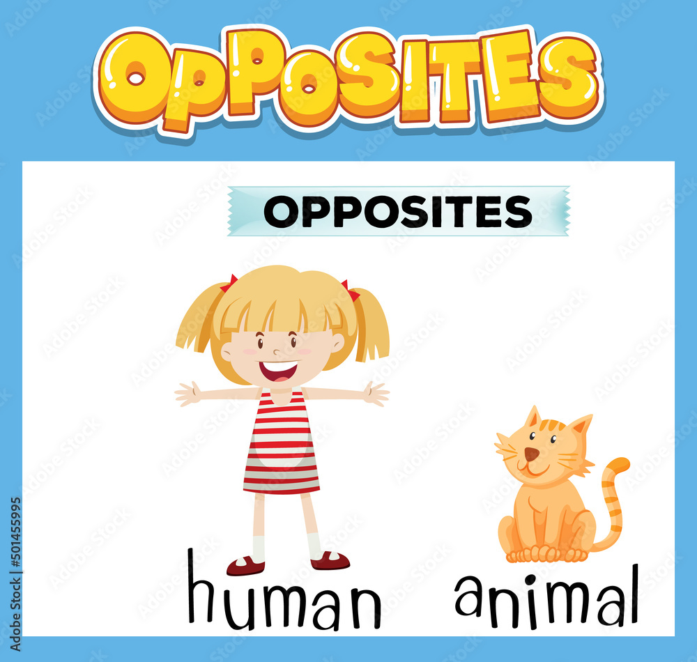 Opposite English words for kids Opposite English words for kids