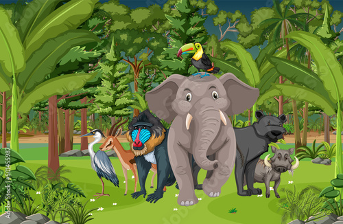 Forest scene with various wild animals