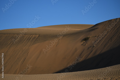 sand dunes in the desert © Loreto