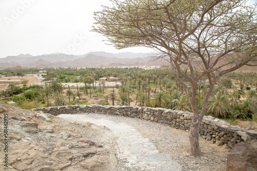 desert path with mountains and valleys dry out of focus with grain