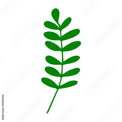 abstract leaves icon. hand drawn in doodle style. vector, simple, silhouette, minimalism. plant, herbarium.