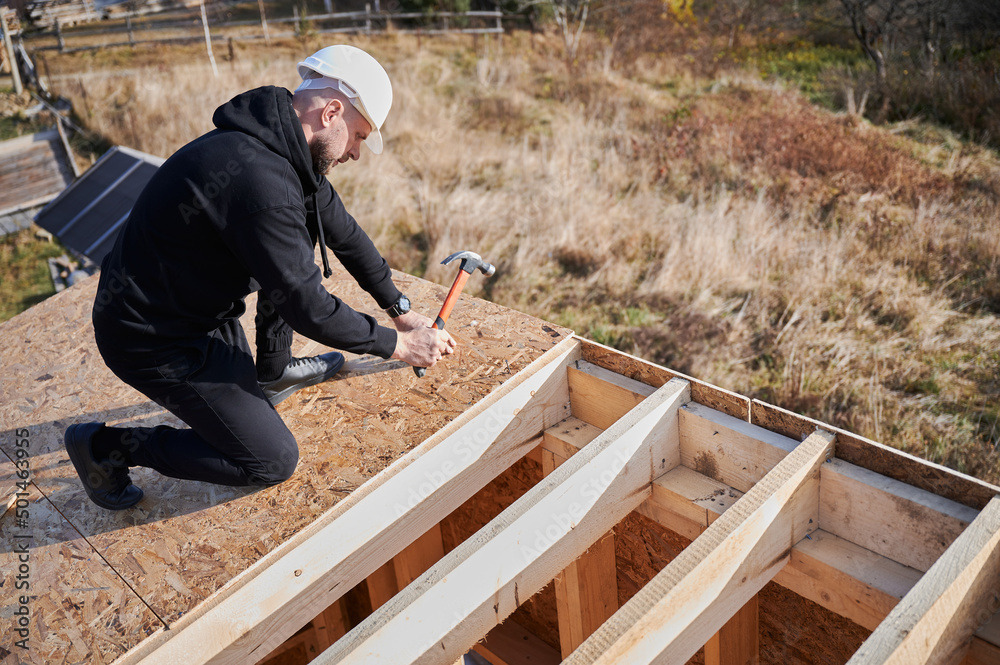 Carpenter hammering nail into OSB panel on the roof top of future cottage. Man worker building wooden frame house. Carpentry and construction concept.