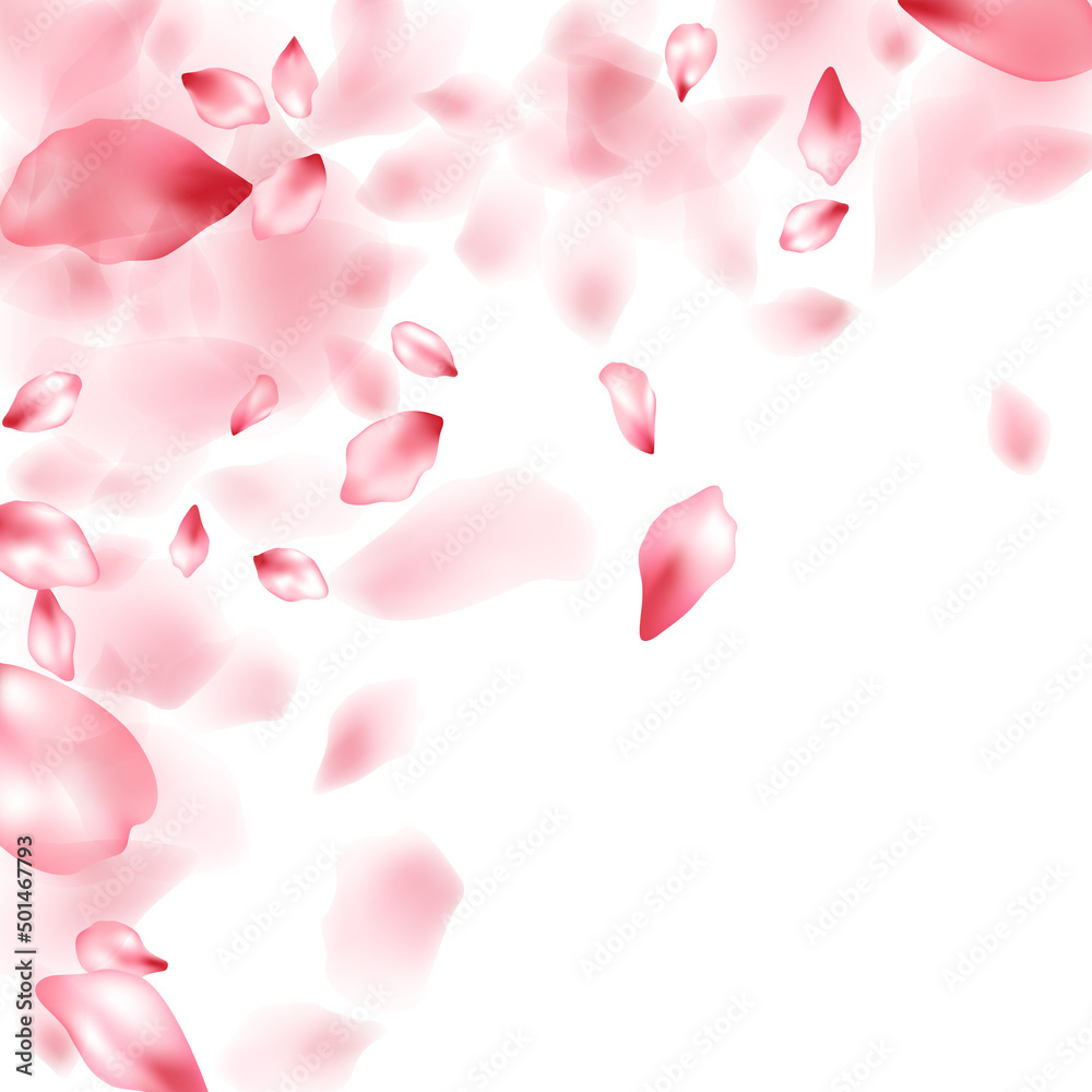 Pink sakura flower flying petals isolated on white vector background.