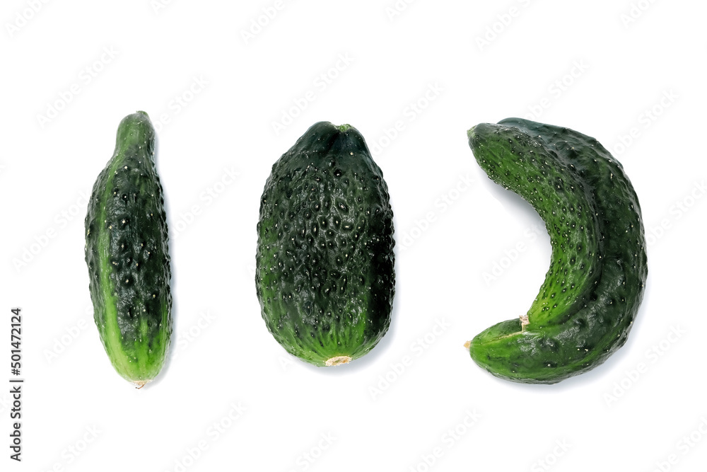 Ugly vegetables, green cucumbers isolated on white background. Ugly vegetables, green cucumbers isolated on white background.