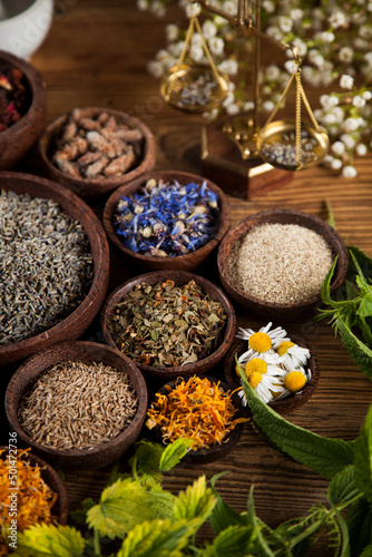 Herbs medicine and vintage wooden desk background