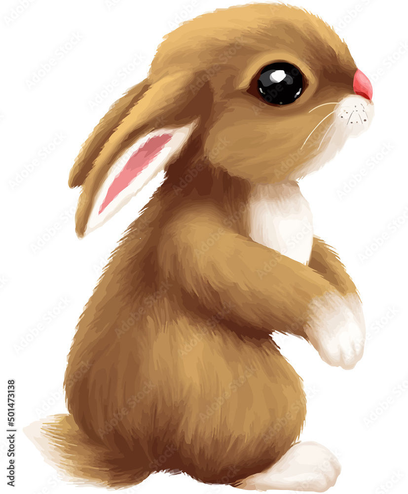 Cute Animal Vector Collection, Hand Drawn Aesthetic Pet illustration