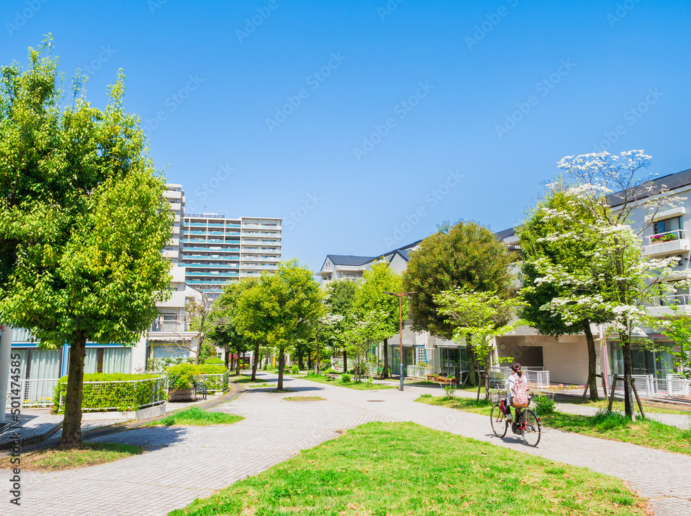 郊外の住宅地　新緑の生活道路