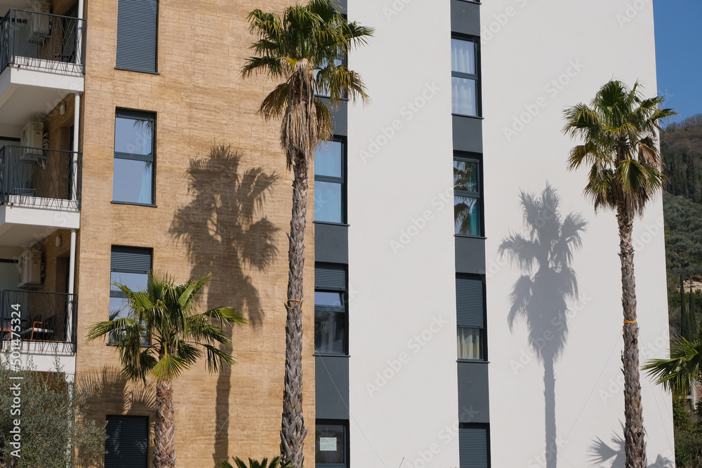 modern building with balcony and windows and palm trees around in tropical country. light and shadows