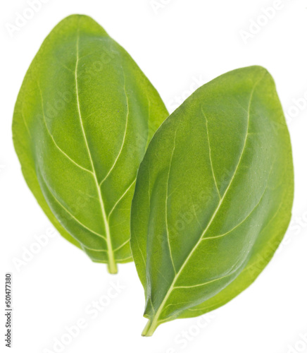 Basil leaves