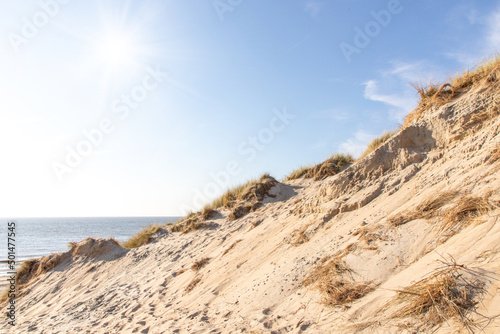 sand dunes in the coast of Nord Sea in Netherlands