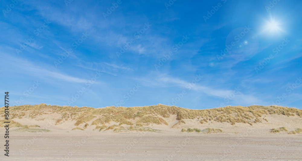 sand dunes in the coast of Nord Sea in Netherlands