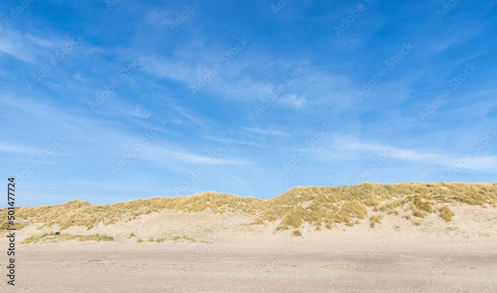 sand dunes in the coast of Nord Sea in Netherlands sand dunes in the coast of Nord Sea in Netherlands