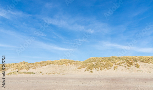 sand dunes in the coast of Nord Sea in Netherlands © agrus