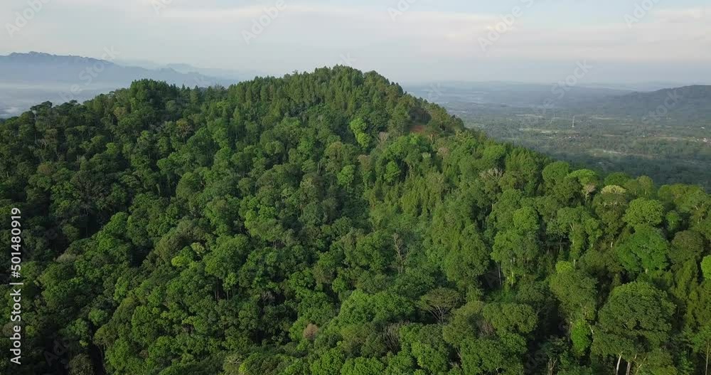Dense forest trees growing on summit of mountain during cloudy day in Asia - Magnificent scenic overview of hill scenery Dense forest trees growing on summit of mountain during cloudy day in Asia - Magnificent scenic overview of hill scenery